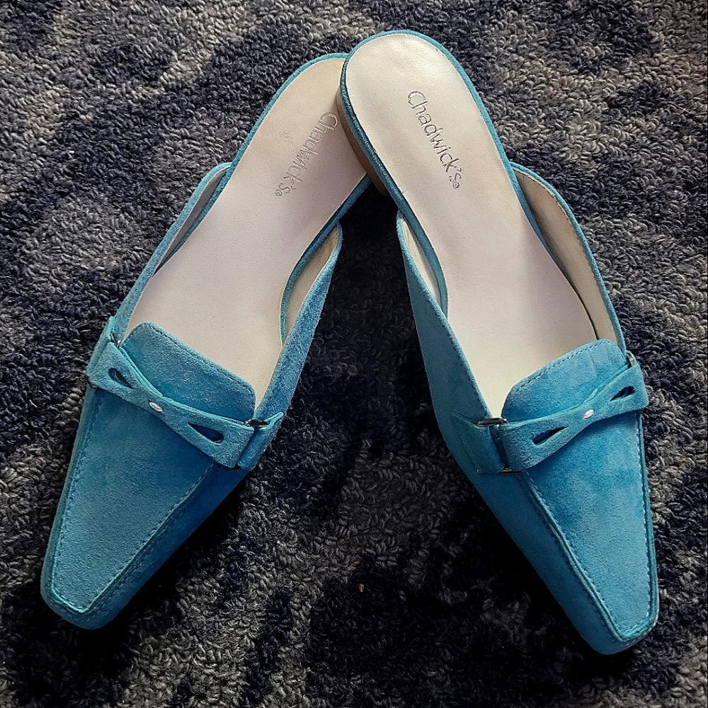 Vintage Chadwick's suede pointed toe flats size 7M excellent condition classic